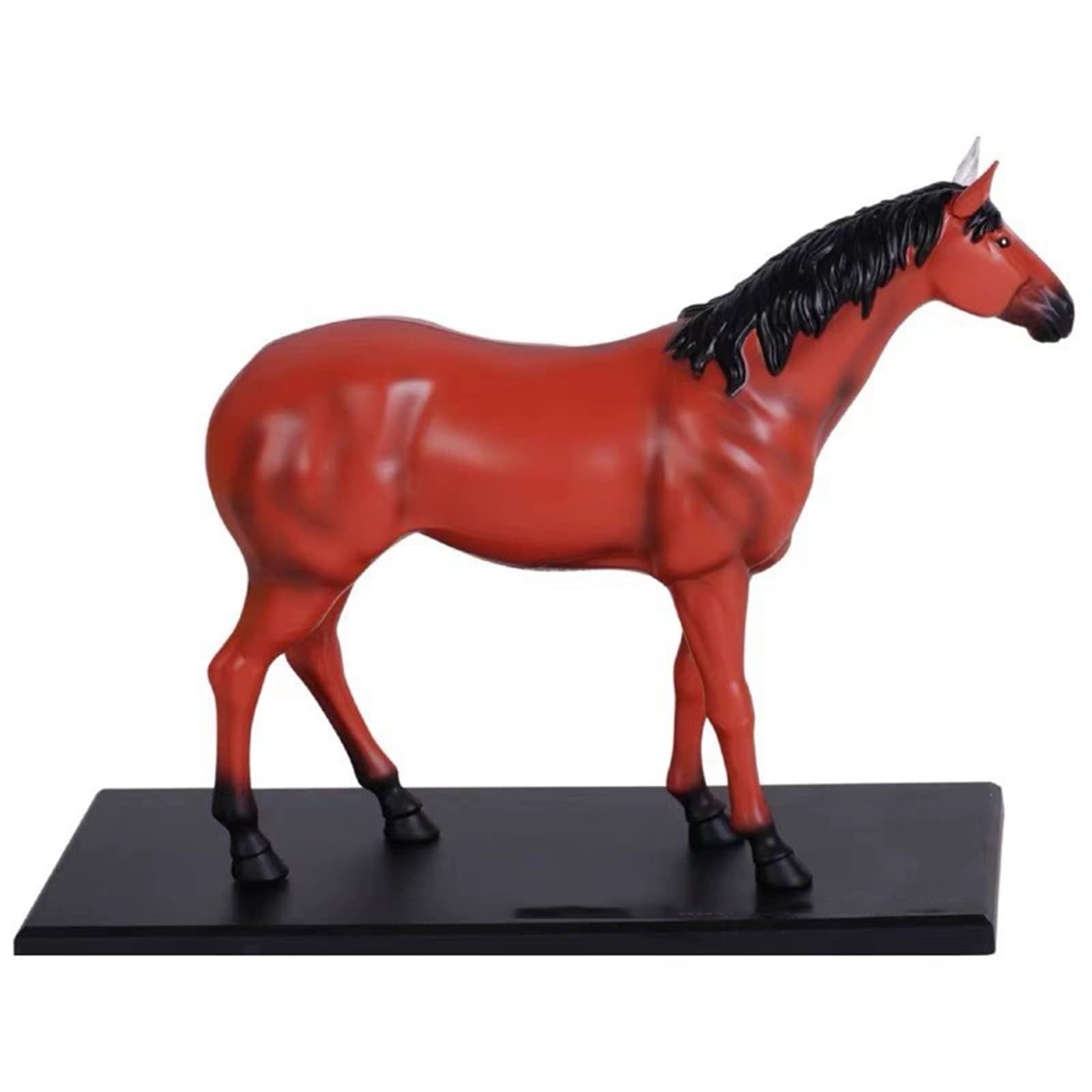 Modelo genérico de anatomía equina en 4D, espécimen de esqueleto animal para clínica veterinaria, escuela de formación veterinaria y enseñanza. 26 partes A