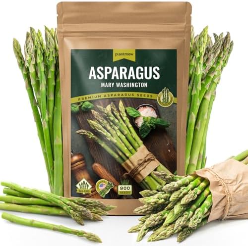 Mary Washington Asparagus Seeds - 900 Seeds, Non-GMO Heirloom Org...