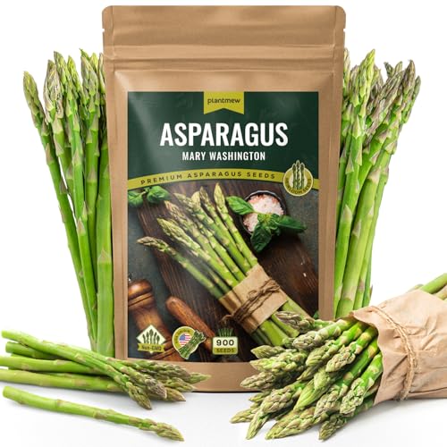 Mary Washington Asparagus Seeds - 900 Seeds, Non-GMO Heirloom Org...