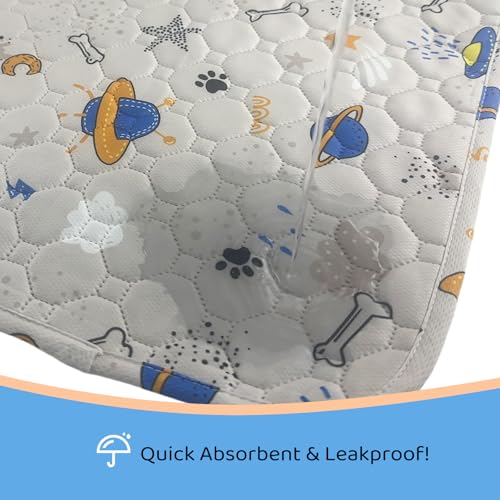 Image of Dog Mats for Floors Waterproof Absorbent and Leakproof Reusable Dog Kennel Pad Washable Pee Pads for Dogs Light Colors 2 Packs (S, 18 inch - 24 inch)