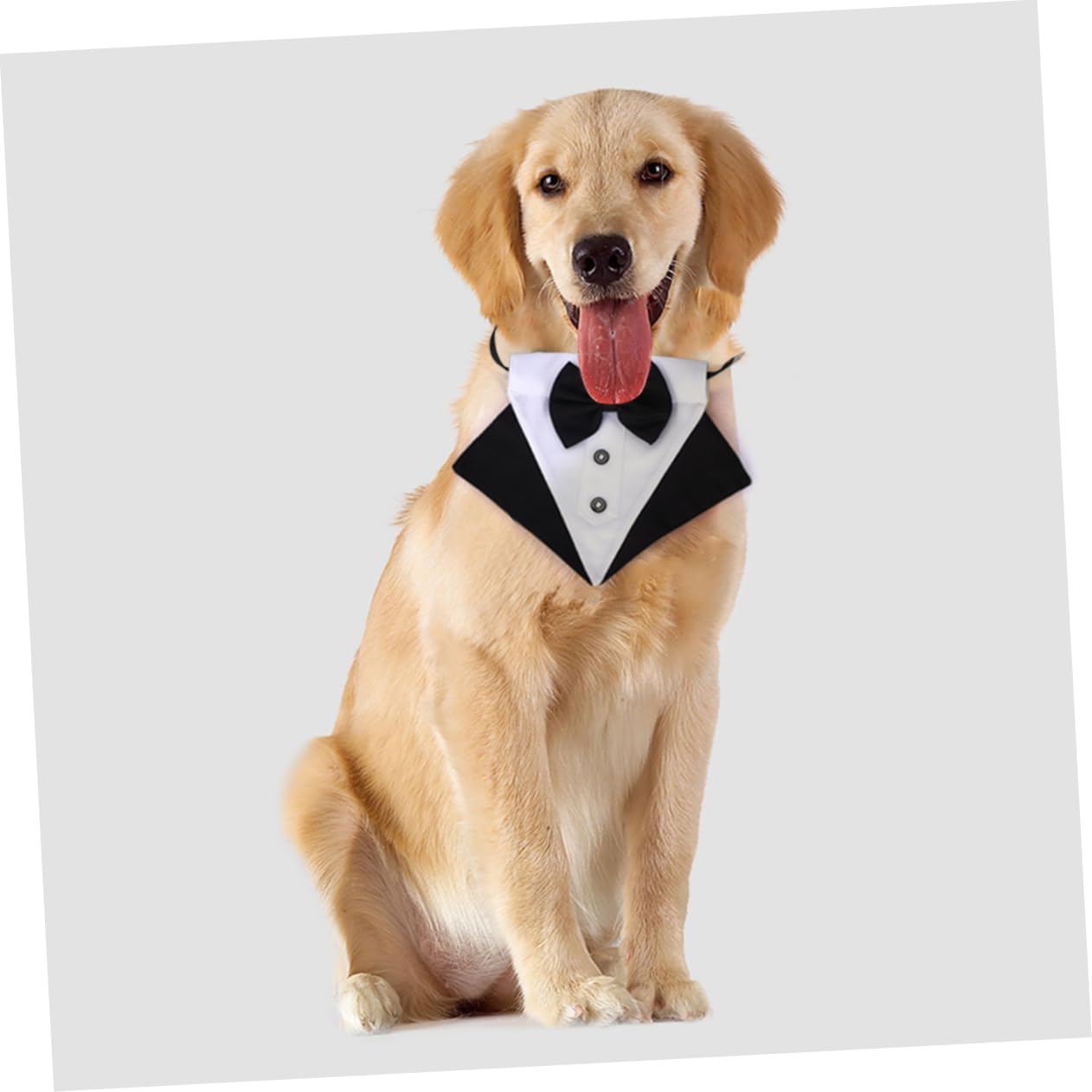 PRETYZOOM 3 Sets Hund Bib Pet Schal Dreieckige Pet Bandana Stilvolle Hund Kragen Zubehör Für Outdoor