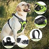 MASBRILL Leuchtgeschirr für Hunde Aufladbar, LED Hundegeschirr Verstellbar Reflektierende Brustgeschirr Beleuchtetes Hundegeschirr (Grün, XL)