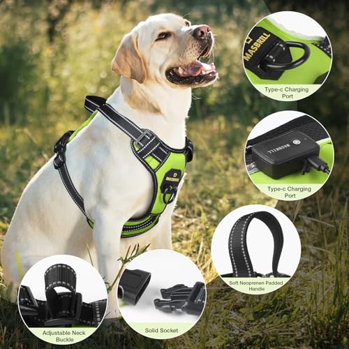 MASBRILL Leuchtgeschirr für Hunde Aufladbar, LED Hundegeschirr Verstellbar Reflektierende Brustgeschirr Beleuchtetes Hundegeschirr (Grün, XL)