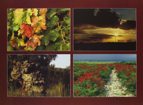 Terra Di Puglia. Poesia D'immagine (La Puglia Si Mette In Posa) - 2