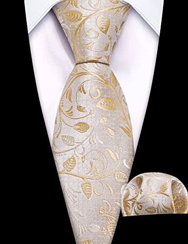 Barry.wang Elegan Boy's Tie Set Silk Woven Necktie Pocket Square Tie Set Ceremony #TOP3
