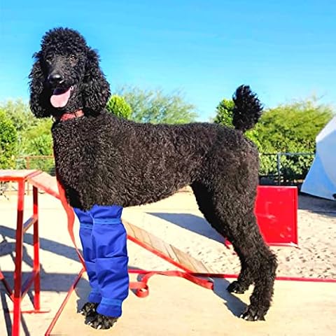 vomvomp Waterproof Dog Leggings Dogs Leg Covering Protector for Poodles Long Haired Dogs on Rainy or Snowy Days Cover