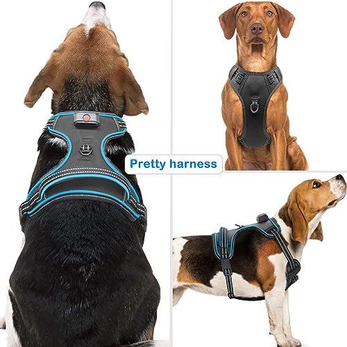 Image of Light Up Dog Harness, Rechargeable LED Dog Vest for Night Walking