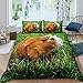 Produktbild Meerschweinchen Bettwäsche Set 135x200cm 3D Tier Thema Bettbezug Set Nettes Haustier Cavy Betten Set für Jungen Mädchen Kinder Teenager Schönes Haustier Dekor Mit 1 Kissenbezug