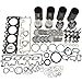 DEYAOLKL Overhaul Rebuild Kit For Bobcat 863 864 Skid Steer Loader