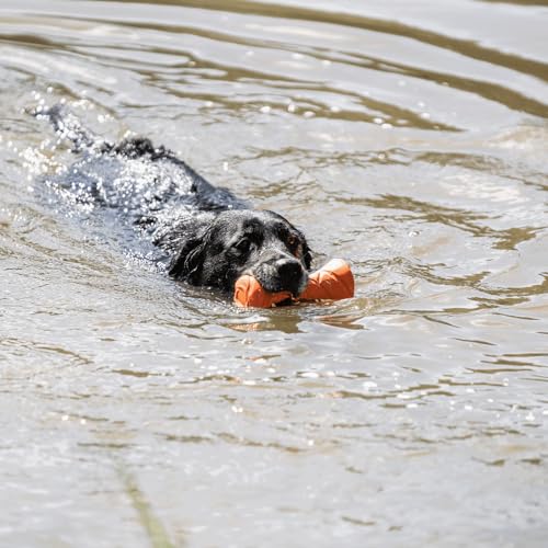 Sprenger Hundespielzeug Apportierhantel - Spaß und Training für alle Hunderassen, orange - 18 x 7cm