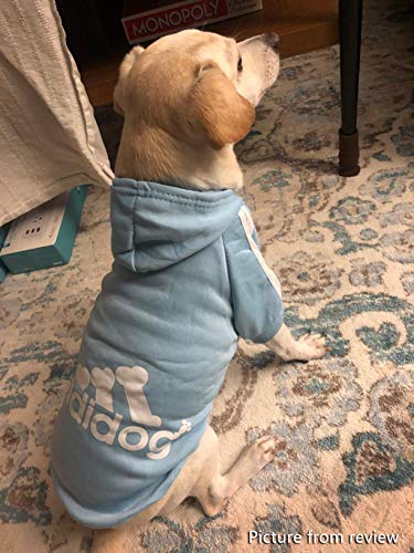 (L, Azul) - Tecido Idepet Soft Algodao Adidog para Cachorro