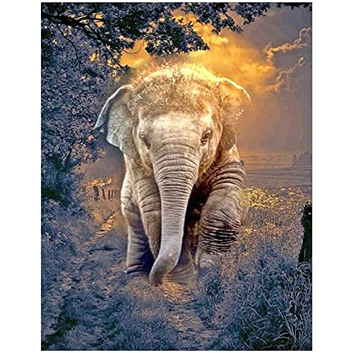 Square Diamond Painting Bilder Erwachsene 40x50 cm Quadratische Steine...