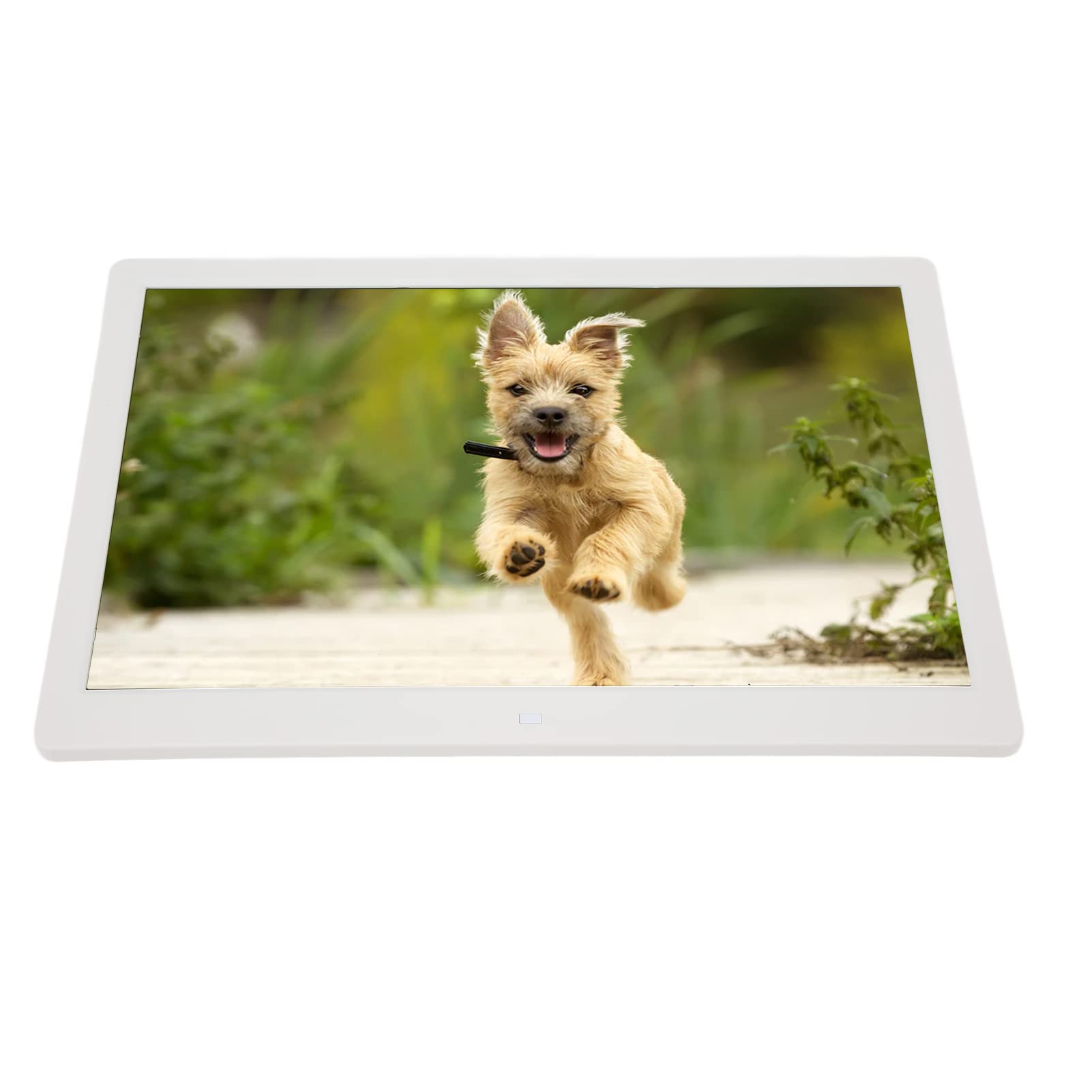 Amazon.com : Digital Picture Frame, 15.4 Inch HD LED Images with