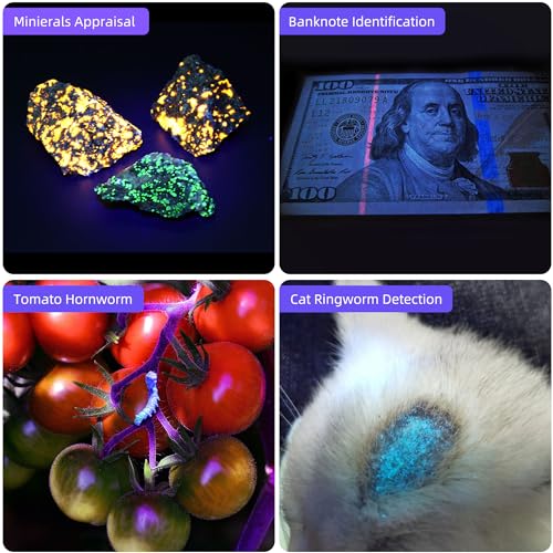 DARKBEAM UV Taschenlampe 365nm Schwarzlicht und 395nm Licht Aufladbar USB, Mini Ultraviolett LED Licht Woodsche Lampe, Schwarzlichttaschenlampen für Haustierurin, Uranglas, Aushärtungsharz,2 Stück