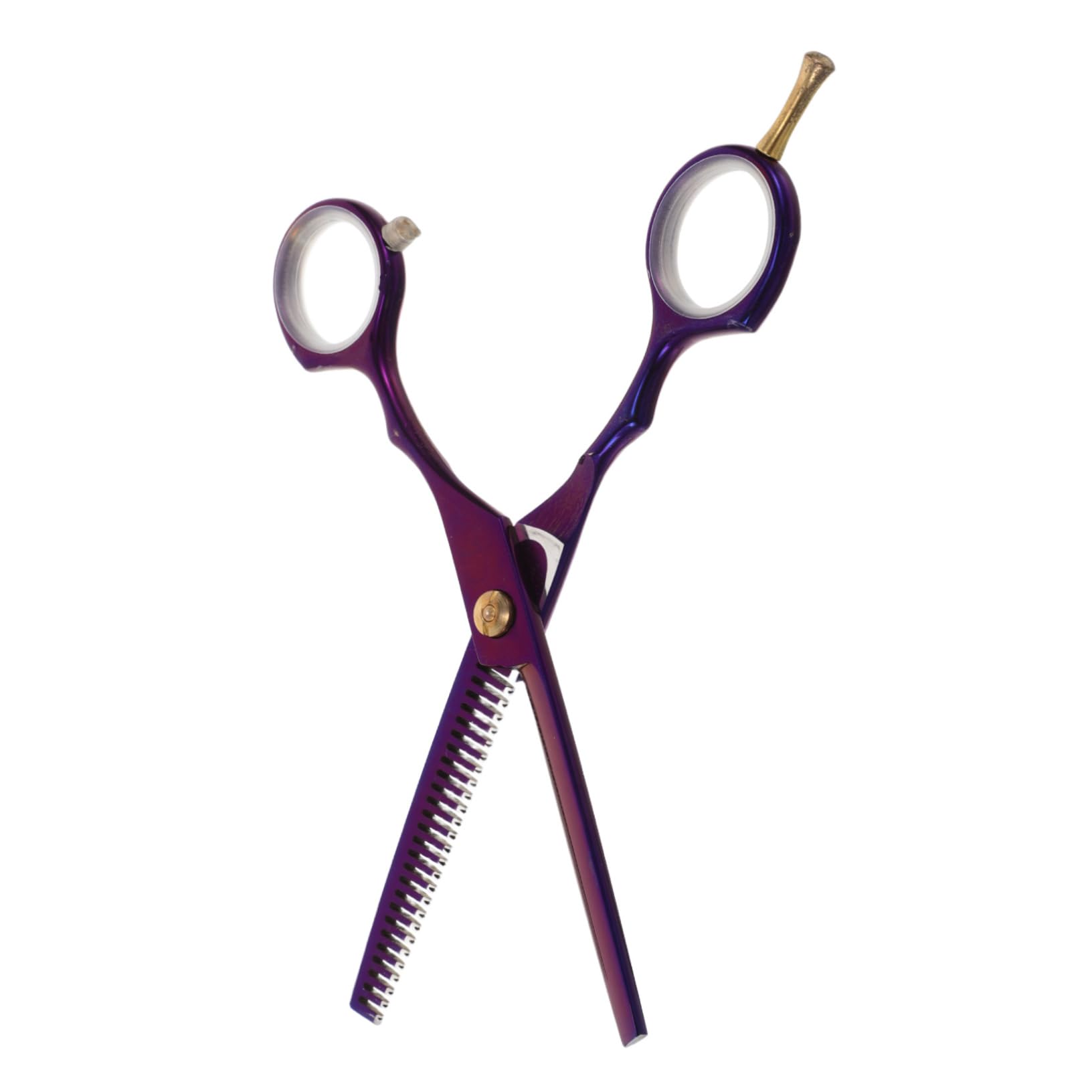 Didiseaon Hair Cutting Scissors for Stylists Thinning Shears Salon Hair Scissor Set Stainless Steel for Hairdressers Home Use