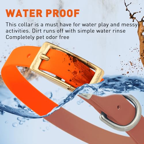 Image of Viper Biothane Heavy Duty Waterproof Dog Collar Strong Coated Nylon Webbing w /Solid Brass Hardware Odor-Proof Easy to Clean High Performance Fits Small Medium or Large Dogs, Hunter Orange