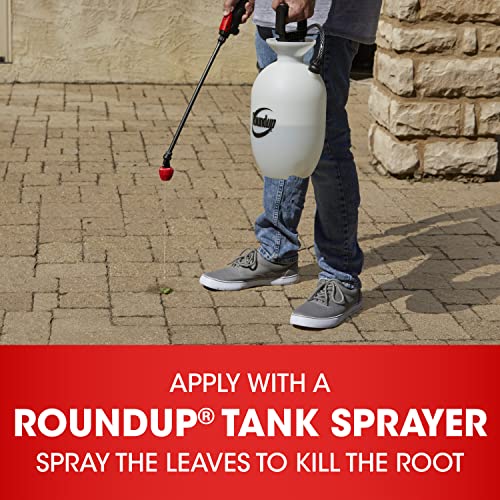 Roundup Concentrate Plus Weed and Grass Killer - Includes Easy Measure Cap, 36.8 oz. - image 5