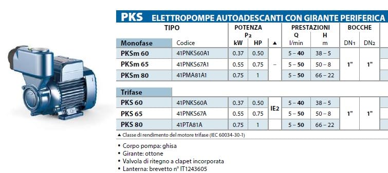 Elettropompa autoadescante con girante periferica monofase Pedrollo PKSm -220V (PKSm60)