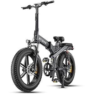 ENGWE X20 X24 Fat Tire Electric Bike, 1000W(Peak) Motor Ebike for Adults,95 Miles 31MPH 20”24” Mountain Ebikeï¼48V19.2A(29.2Ah-Dual Battery Option),All Terrain