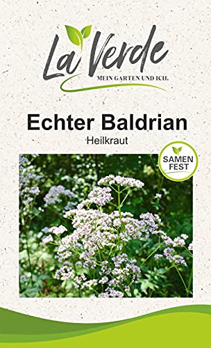 Echter Baldrian Lubelski Kräutersamen Echter Baldrian Lubelski Kräutersamen