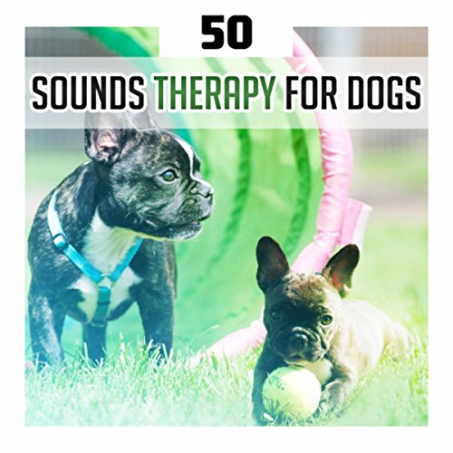 Play 50 Sounds Therapy for Dogs (Soothing Music for Pet Relaxation ...
