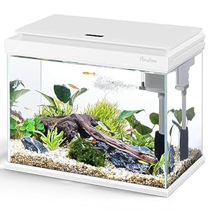 5 Gallon Fish Tank, Low Iron Glass Aquarium Starter Kits with Temperature Digital Display, Betta Fish Tank with No Installation for Beginners and Enthusiasts（White）