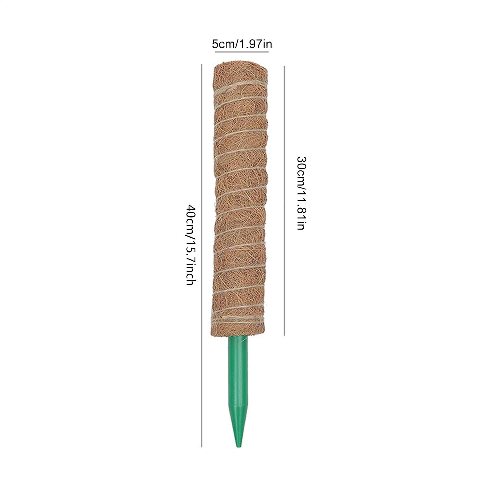 Tuteur en Mousse pour Monstera 4 Pièces de 41 cm Pliable et Réutilisable