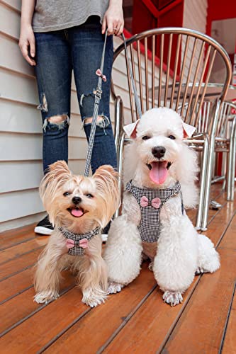 Puppytie No Pull Small Dog Harness with Multifunction Dog Leash,Lightweight Soft Adjustable No Choke Escape Proof Pet Harness Vest Pet Harness Vest,Knitted Black-White,S - Image 4