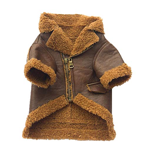 vêtements pour chien petite taille