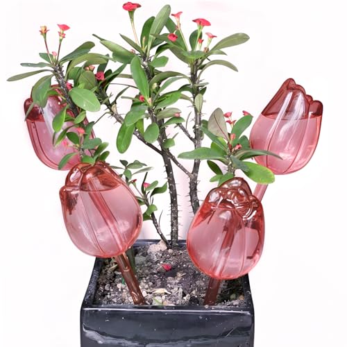 EWENYS 4 Pack Plant Self Watering Bulbs Self Watering Globes for Holiday Plant Watering Self Drip Irrigation Device for Indoor (Clear Champagne Rose)