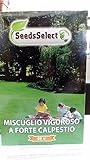 Zoom IMG-1 seme prato mix festuca arundinaceaa