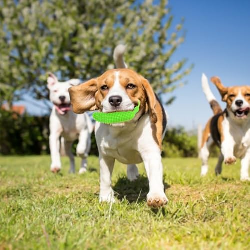 Image of balacoo 2pcs Cucumber Shape Dog Chew Toys Interactive Pet Plaything for Puppies and Fun for Mental Helps Reduce Destructive Behavior