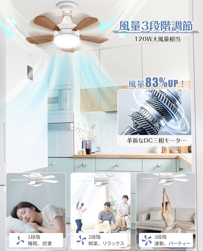 ONRIU シーリングファンライト の商品画像 2