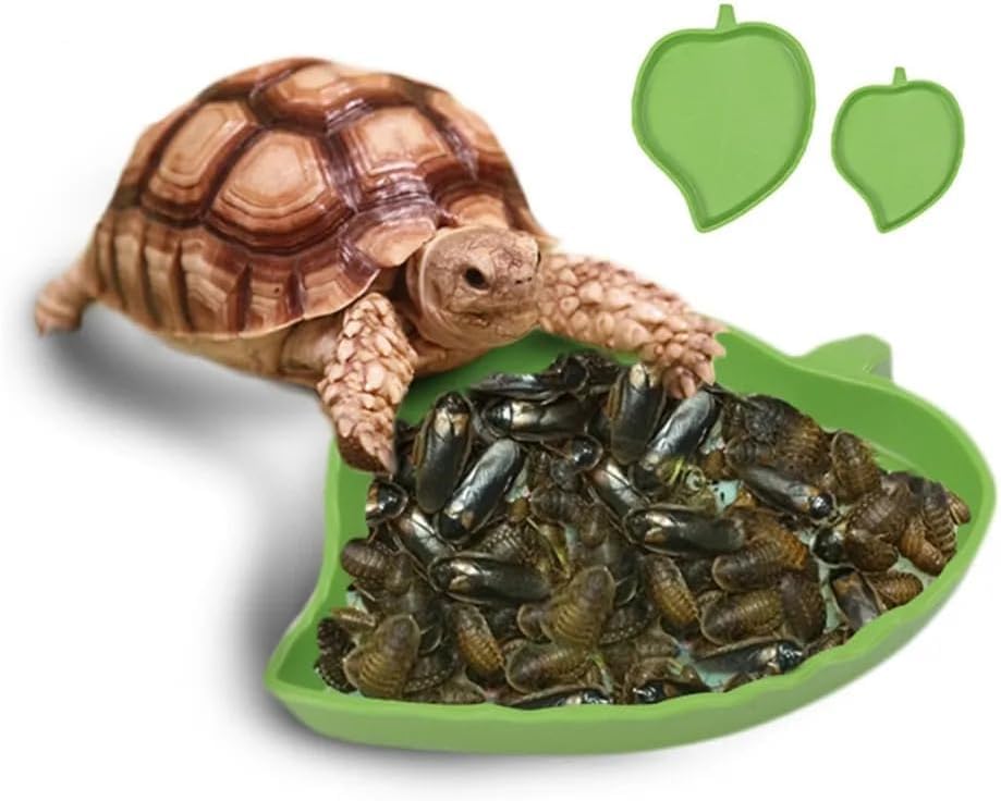 ZLXFT Cuenco de Agua para Comida de Reptil,2 Forma de Hoja Accesorio de Tortuga Terrestre,Bebedero de Tortuga Plana,Hoja Reptil Comida Agua Tazón,Reptil Tortuga Alimento Tazón Plano