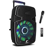 FENTON FT12JB - Altavoz con Bluetooth Ideal Karaoke portátil y con micrófono inalámbrico, Amplificado, 700W 12 Pulgadas con Ruedas, Efecto Bola...