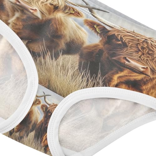 Two Highland Cows Winter Toddler Girls's Underwear 2T 202b86204