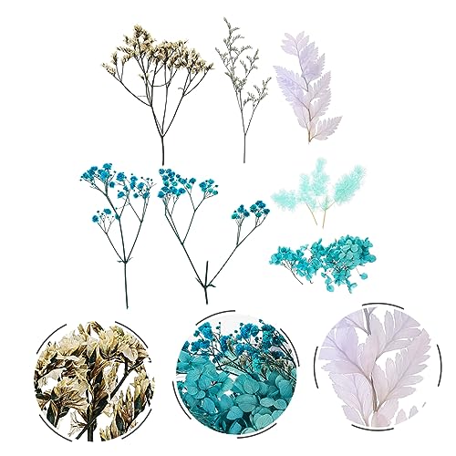 Set de flores secas para manualidades decorativas miniatura 2