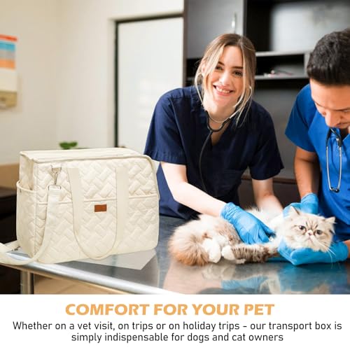 Hundetragetasche bis 5kg – Hundetasche für kleine Hunde Katze, Tragetasche Hund, faltbar, atmungsaktiv, mit Sicherheitsgurt, Taschen, Transporttasche, ideal für Outdoor, Reisen, Auto (41x30x18cm)