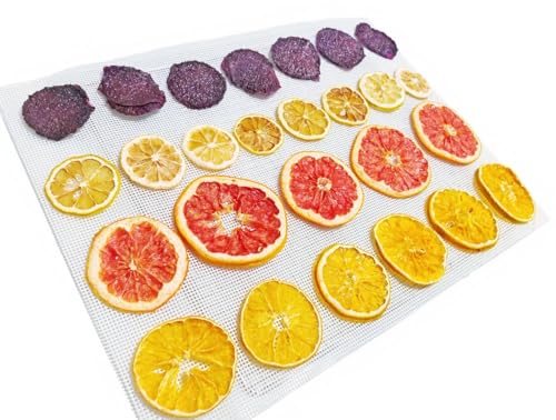 12er Dörrfolie für Dörrautomat für der Rechteckige/Runden Dörrautomat, oiyocemo Antihaft...