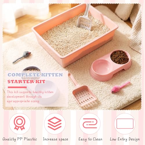 Kit de inicio para gatos con 2 areneros pequeños miniatura 3