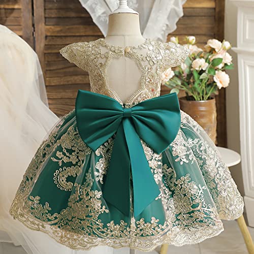TTYAOVO Baby Girls Flower Dress Birthday Princess Party Lace Outfits4