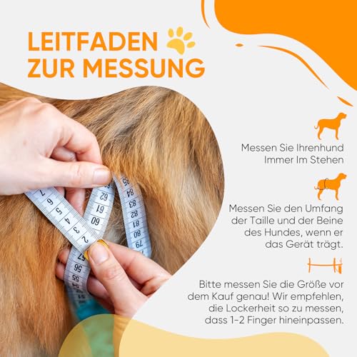 Tragehilfe Hund Groß, Hundegeschirr für Hinterbeine, Hundetrage für Hunde mit Verletzungen, nach Operationen oder Arthritis, Stabil & Atmungsaktiv, Einfach Anzulegen,Hunderollstuhl Alternative XL