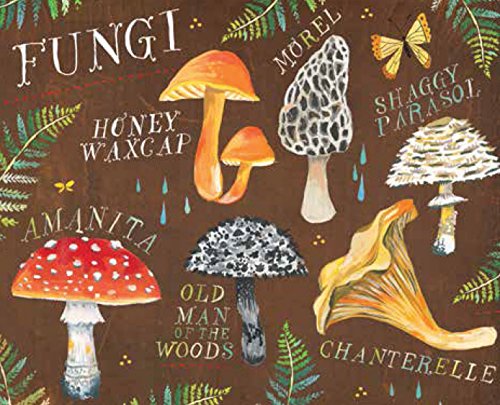 With Love, Adventure, and Wildflowers Notes: 20 Different Notecards & Envelopes