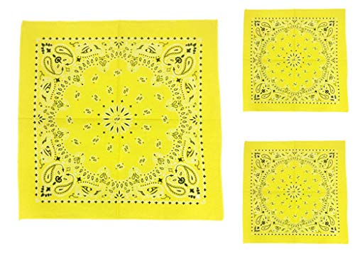 Image of Unisex Cotton Paisley Bandanas (Multicolours, 22 inch X 22 inch) - Pack of 3 Pieces