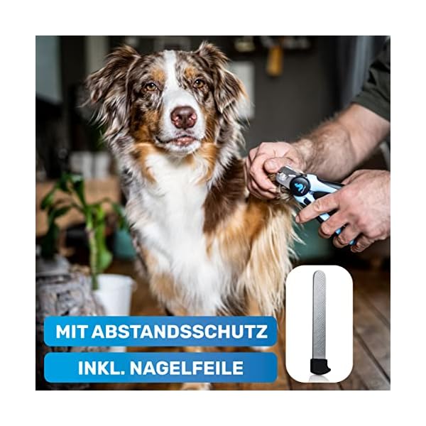 BluePet KrallenSchön Krallenschere mit Schutz als Nagelschere für Hunde, Katzen & Kleintiere - Inkl. Nagelfeile im Griff zur optimalen Krallenpflege – Bild 6