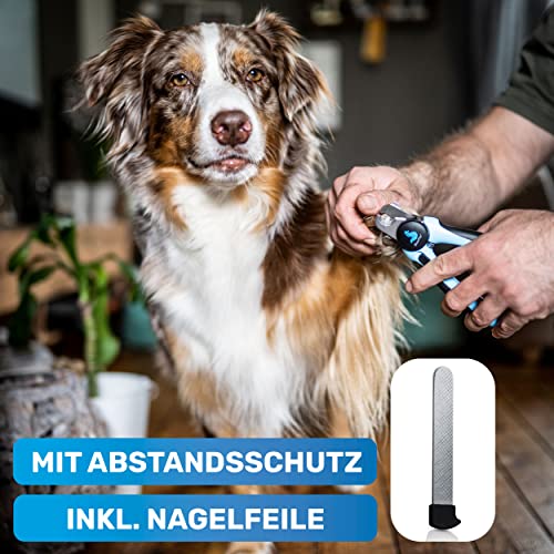BluePet Krallenschere mit Schutz für Hunde & Katzen I Einsteigerfreundlich I Krallenzange für kleine & große Krallen + Krallenfeile im Griff - Alternative zu Nagelschere & Krallenschleifer