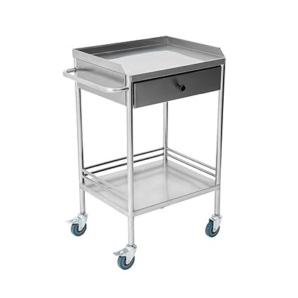 INDIDECOR 38844 2-Tier Rolling Medical and Lab Storage Cart, Large Capacity Portable Cart with Sealed Top and Silent Wheels for Lab, Clinic, Salon, and More, 19.65'' L x 15.72'' W X 32.87