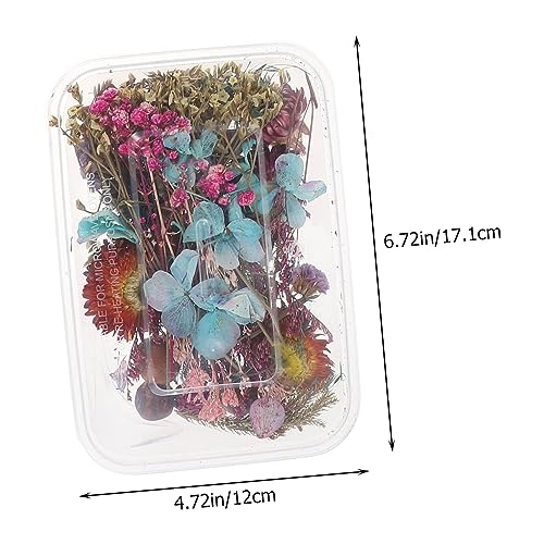 Flores secas mini para manualidades en caja miniatura 2