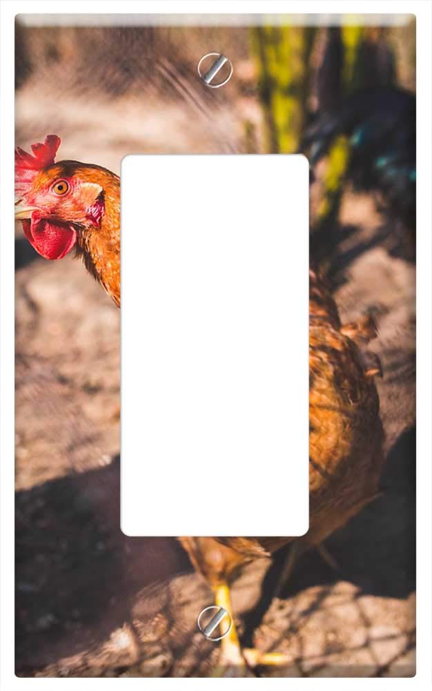 Switch Plate Single Rocker/GFCI - Chicken Chickens Free Range Natural Eco Eko