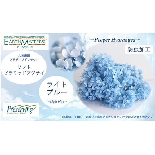 }ւŔ n_ vU[uht[ 2֕ \tgs~bhAWTC Cgu[ vU AWTC z ԍ n[oE  킢 v[g 蕨 II`mEG \tgs~bhAWTCEwbh